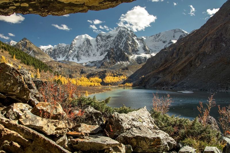 алтай,осень на Шавлинских осень золотая...photo preview