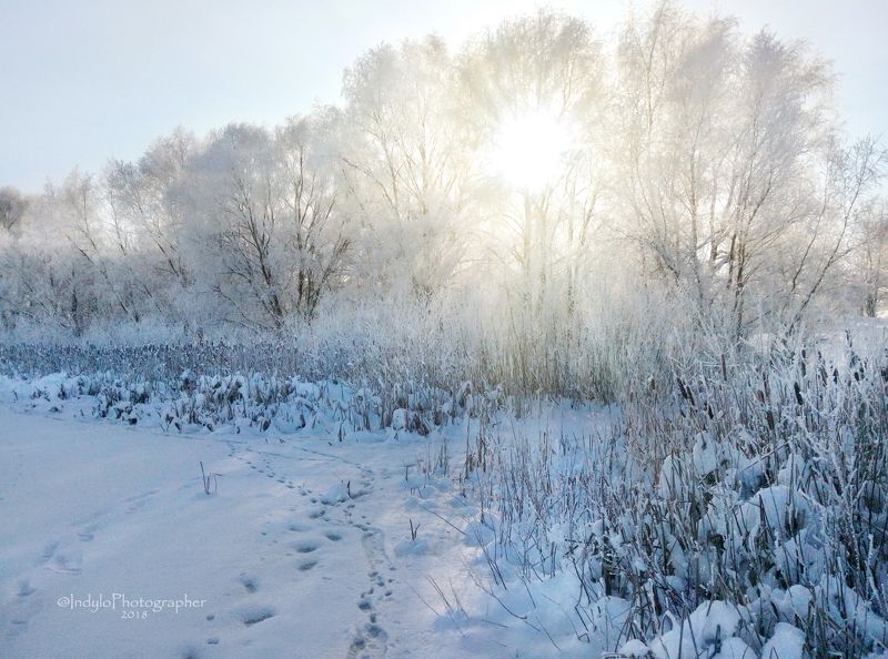 Winter frost.photo preview