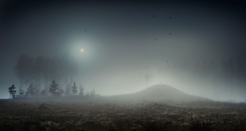 landscape , poland, surreal, man ,silhouette, forest ,moon Between moonset and sunrisephoto preview