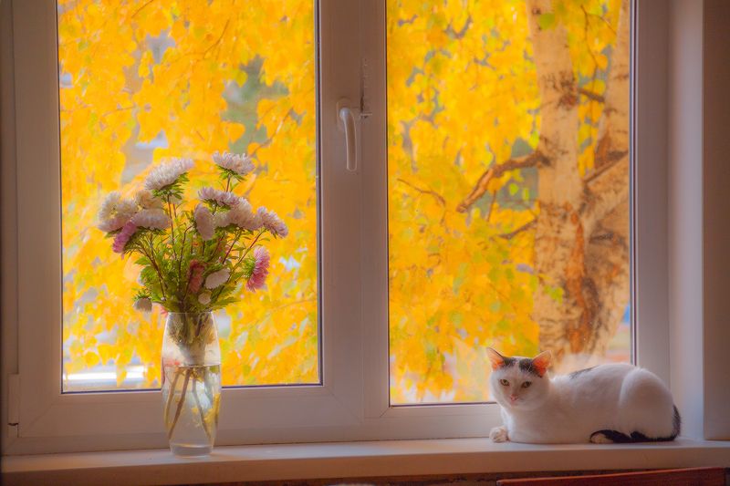 Осеннее...photo preview