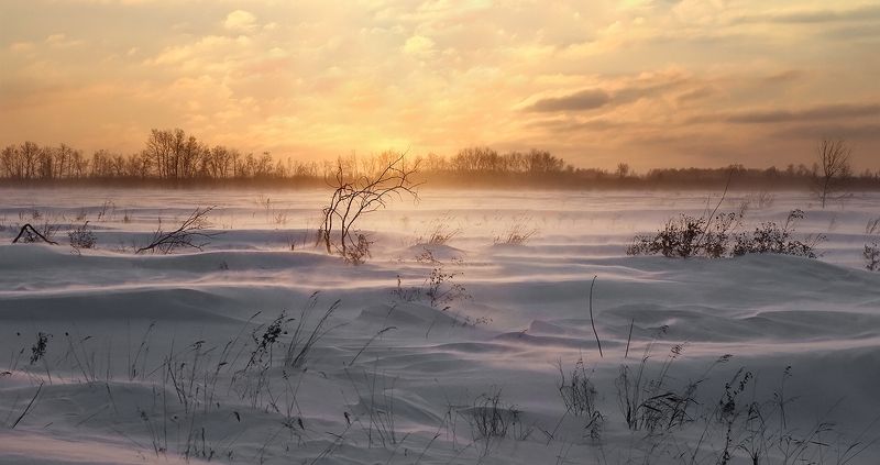 Метёт метель...photo preview