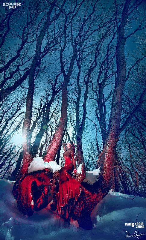 COLOR TASTEphoto preview