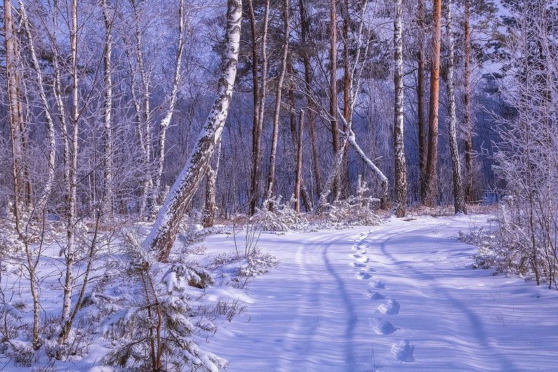 Добро пожаловать в сказкуphoto preview