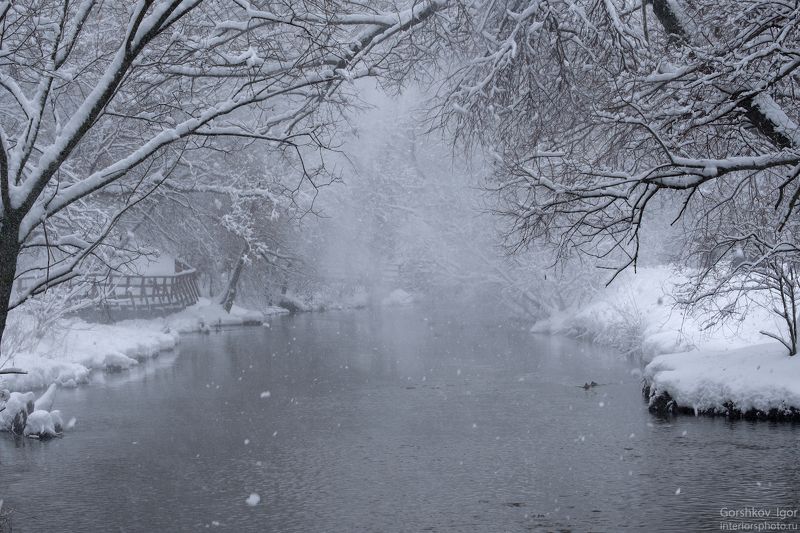 москва,парк,снег,снегопад,пыль,река,яуза,пейзаж,природа,зима,деревья,ветки,снежинки Cнежная пыль над рекойphoto preview