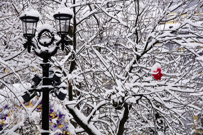 Москва, снег, фонарь, Тверской бульвар, зима, город Тверской бульвар зимойphoto preview