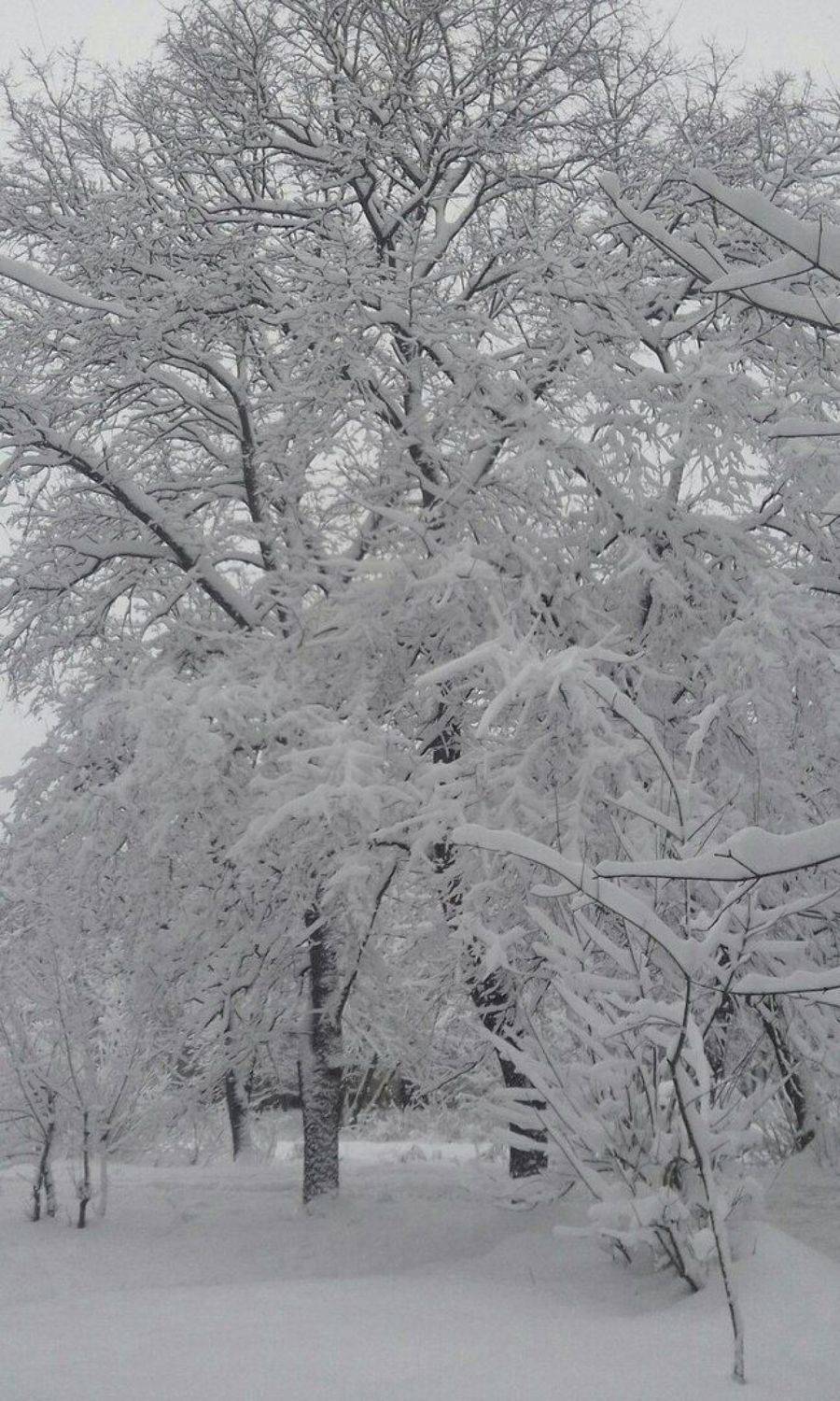 наконец то зима! в Москве. Автор: Юрий Клюшкин , Юрий Клюшкин