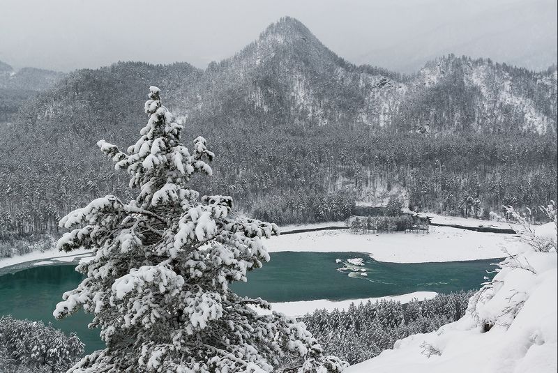 алтай, сибирь, катунь, зима, бирюза Зимние сны Катуниphoto preview