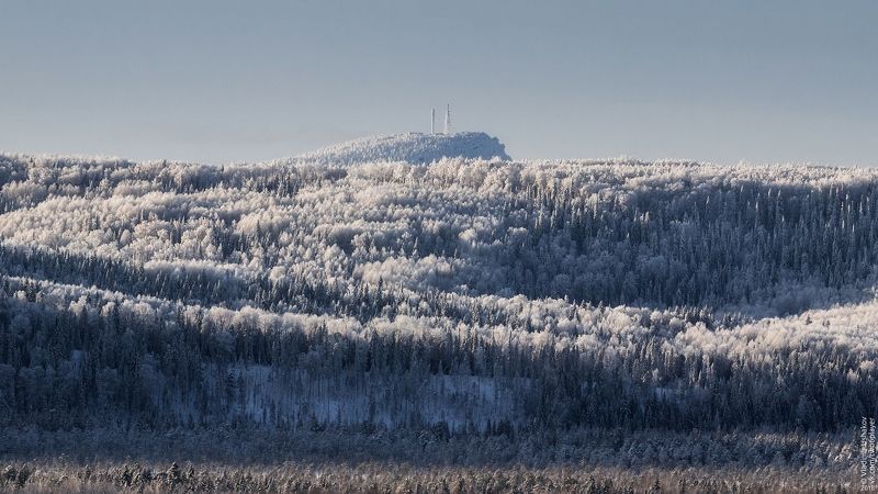 зима, снег, солнце, гора, полюд, урочище, говорливое, пермский край гора Полюд выглядывает из-за холма фото превью