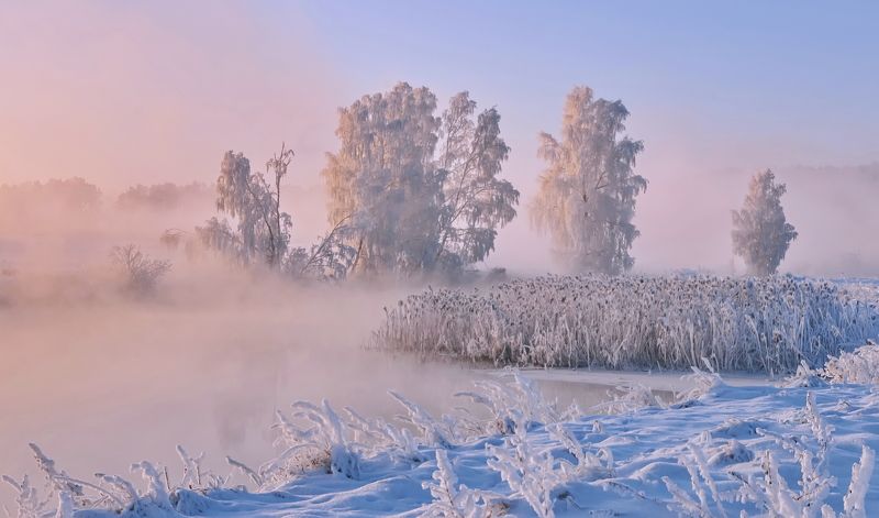 утро, туман, солнце, свислочь Зимнее утро на Свислочиphoto preview