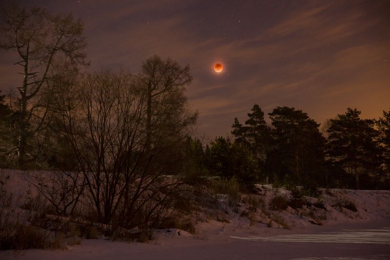 ночь, луна, затмение, звезды, облака, деревья, река, зима, снег, река, антон селезнев Лунное затмениеphoto preview