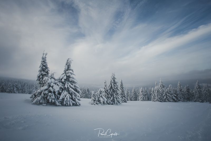 Polska, poland, snow, winter Karkonosze Mountainsphoto preview
