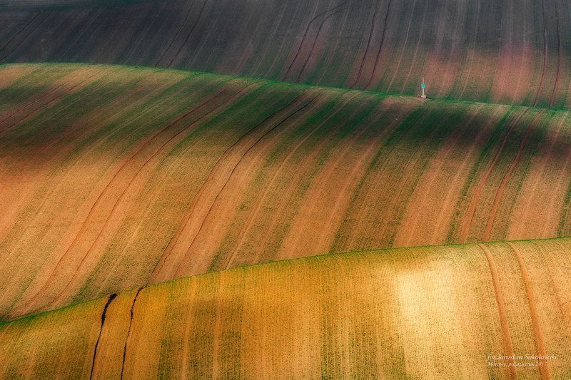 sztruksphoto preview