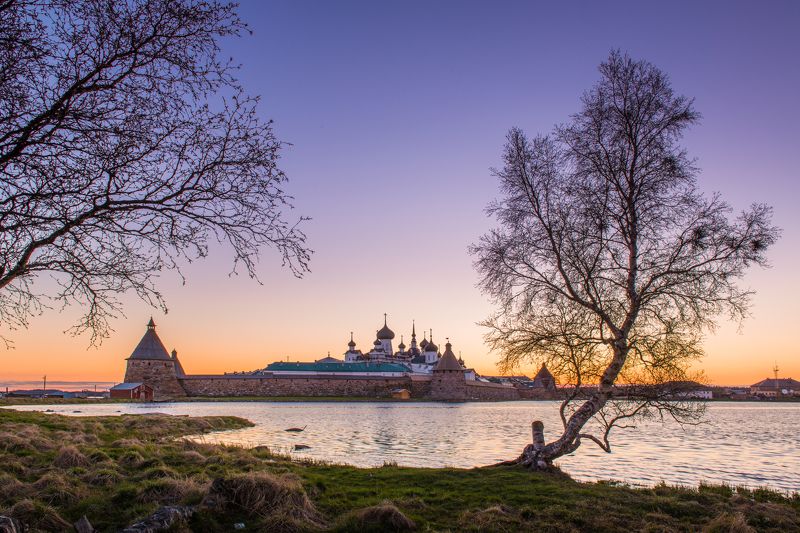 Соловки белые ночи Соловецкий монастырь  Белые ночи на Соловках photo preview