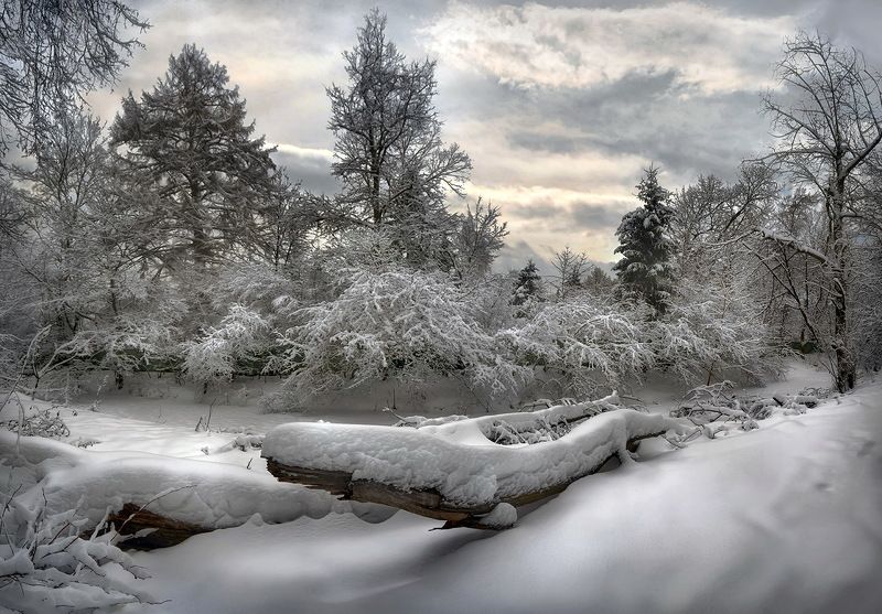 #зима, #снег, #зимнийпейзаж, #деревьявснегу, #зимниесумерки, #пейзаж Мысли о зиме...photo preview