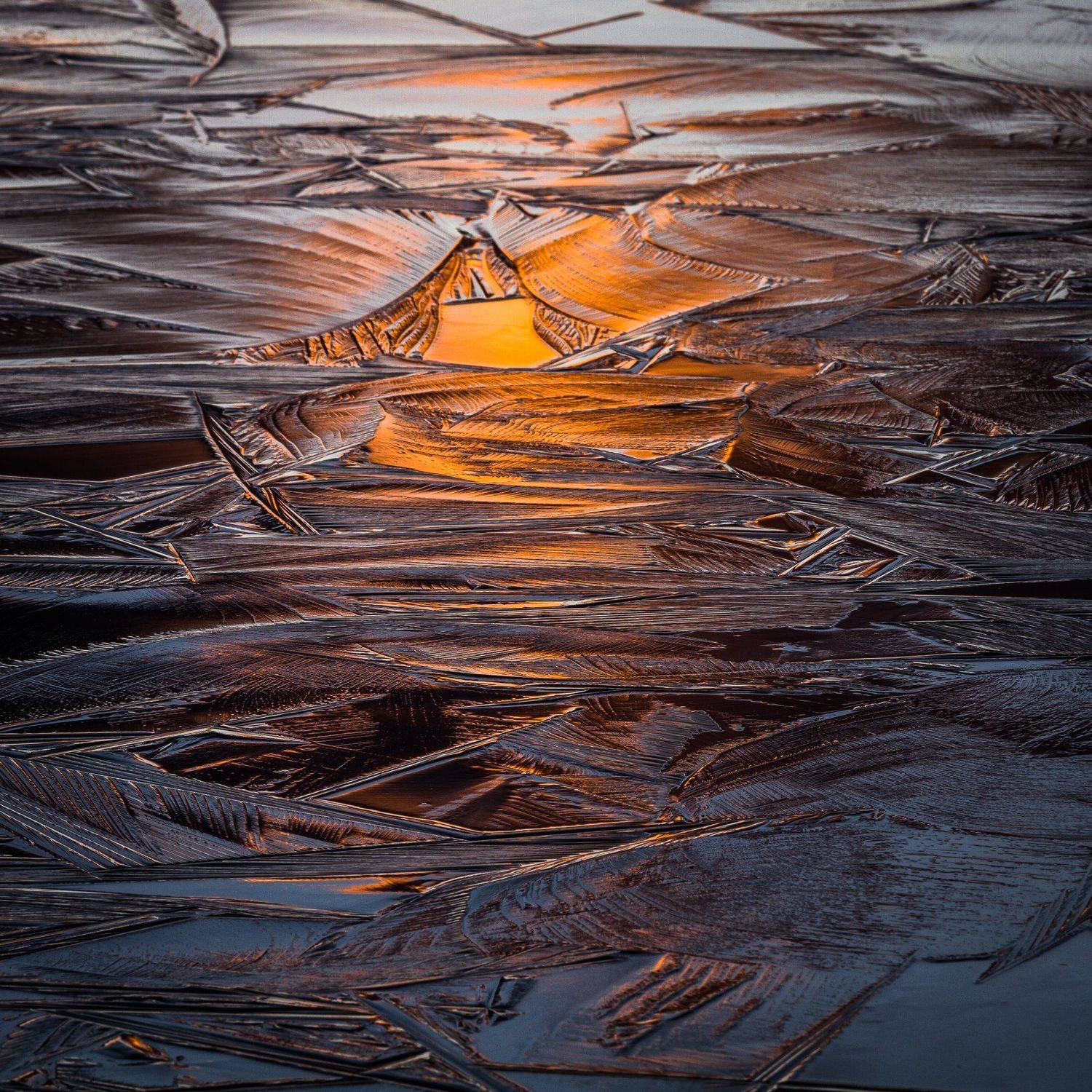 Автор: Eriks Zilbalodis , Eriks Zilbalodis