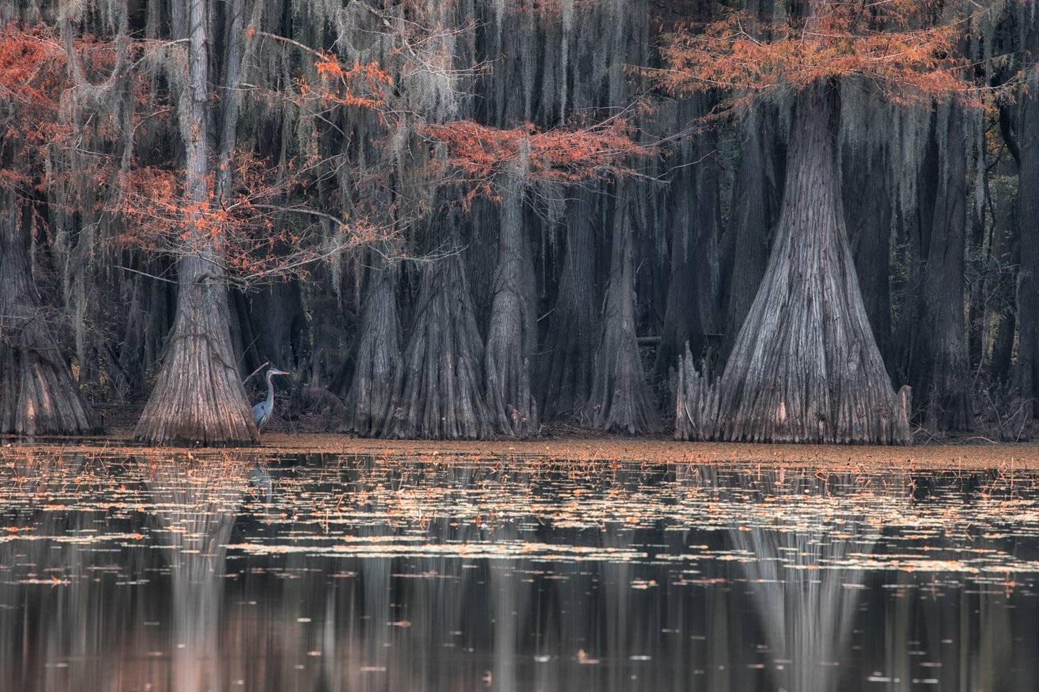 , Маргарита Чернилова