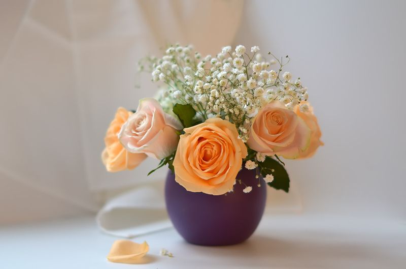 Розыphoto preview