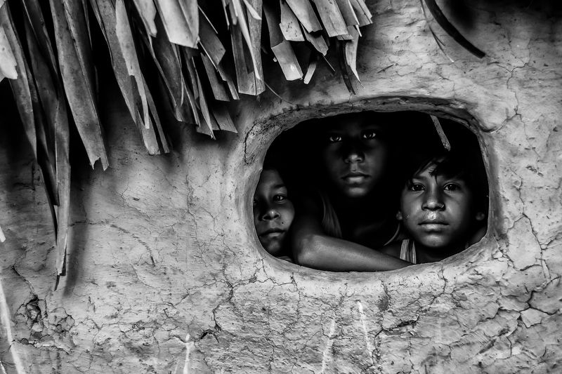 Slices of Lifephoto preview