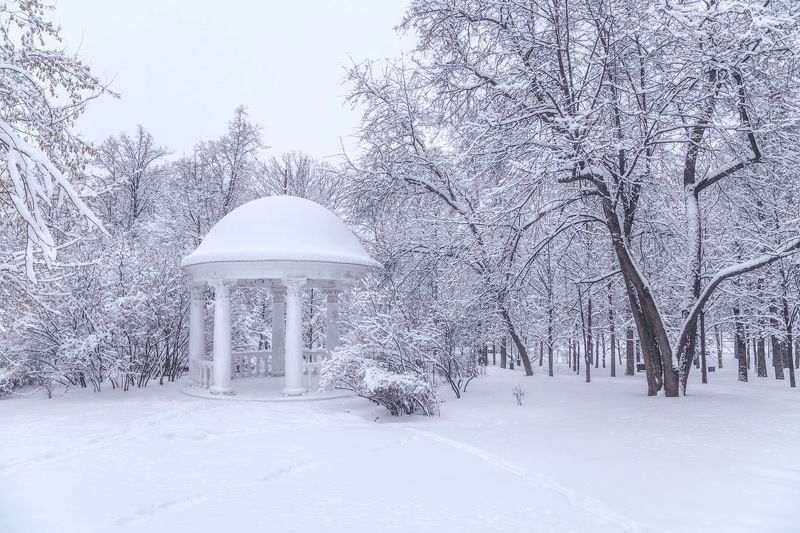 москва, парк, снегопад, зима В заснеженном парке фото превью