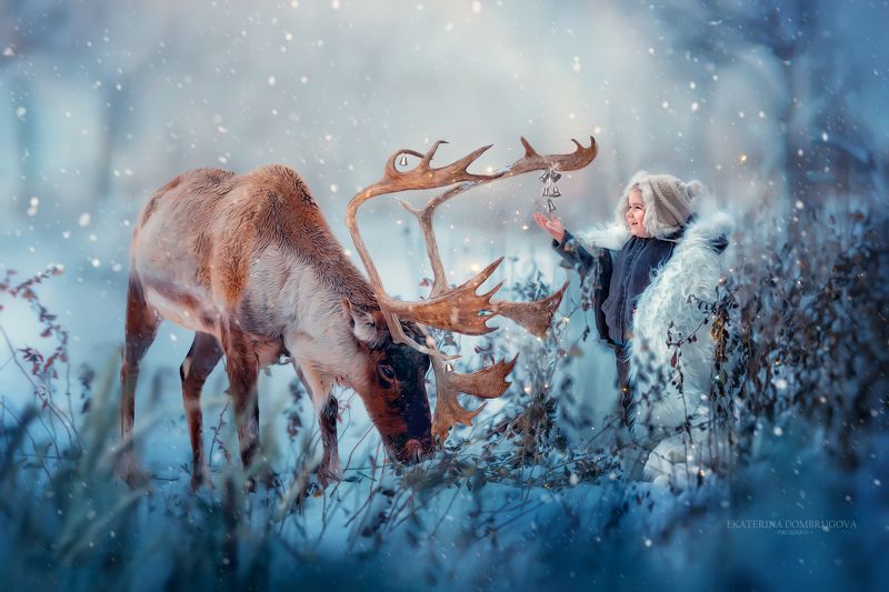 Северные сказкиphoto preview