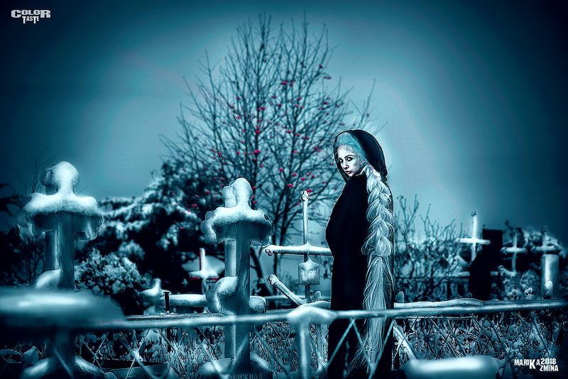 COLOR TASTEphoto preview