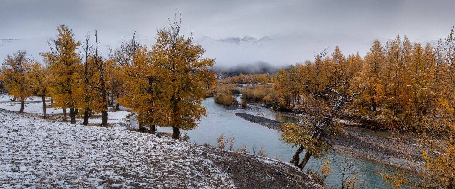 Вдоль золотых берегов. Автор: Владимир Ляпин алтай, горы, осень, Владимир Ляпин