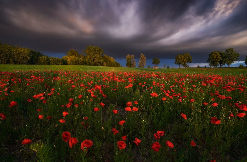 Storiesphoto preview