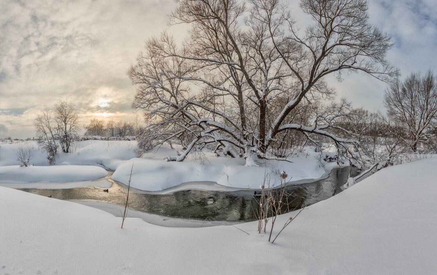 , Николай Андреев