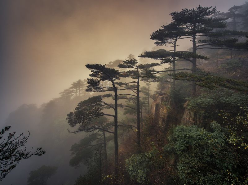 Хуаншань  На склонеphoto preview