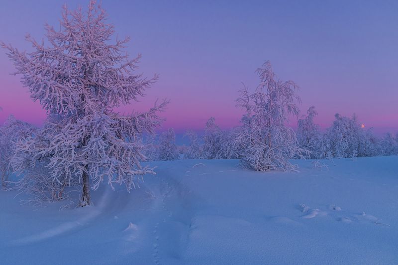 ямал , зима , природа, салехард ,  ямал ,север \