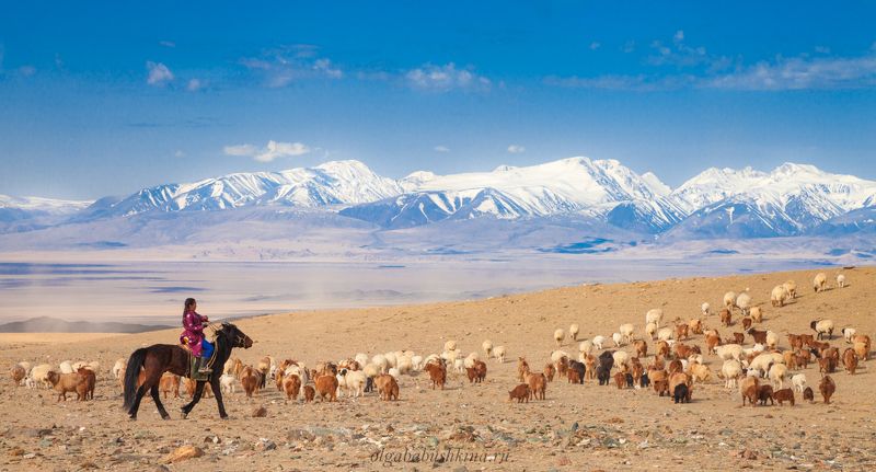 монголия, кочевье Дух свободы!photo preview