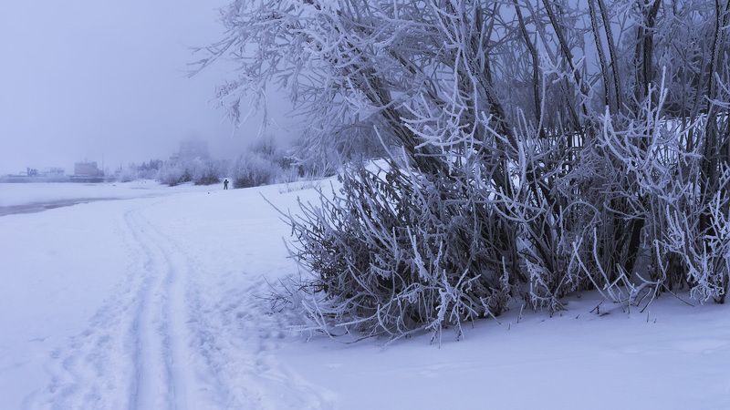 Утро понедельника, февральphoto preview
