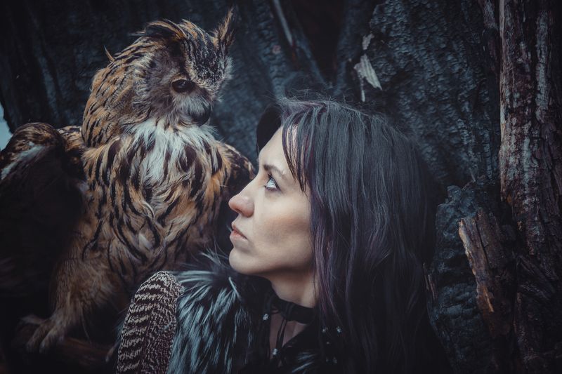филин, сова, девушка, мех, взгляд, дерево, угли, горелое, перо Скажи мнеphoto preview