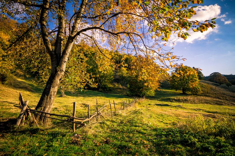 sony a6000,sigma 10-20 Родопа планинаphoto preview