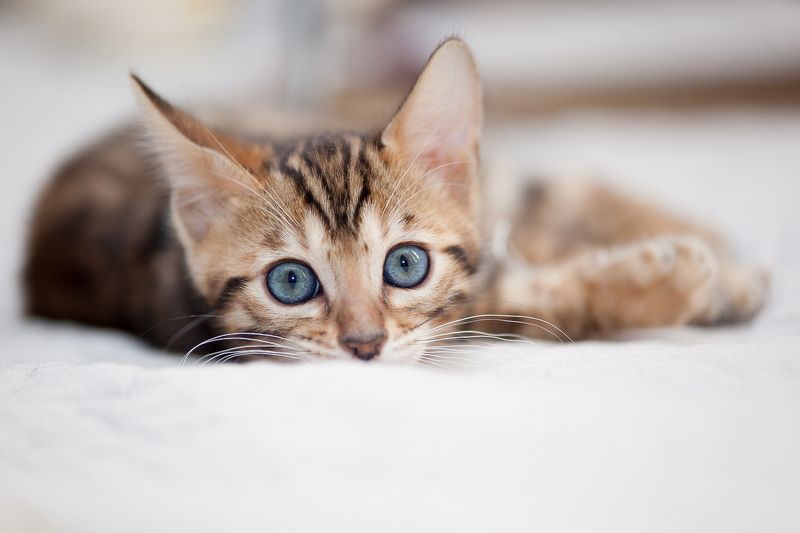 mr.filler Мечтатель :)photo preview