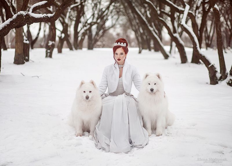 север, собаки, маламут, снежная королева, зима, зимняя сказка, корона, белая королева, бисер, снег, модель, природакрасивая девушка, идеи для фотосессиии зимой Зимаphoto preview