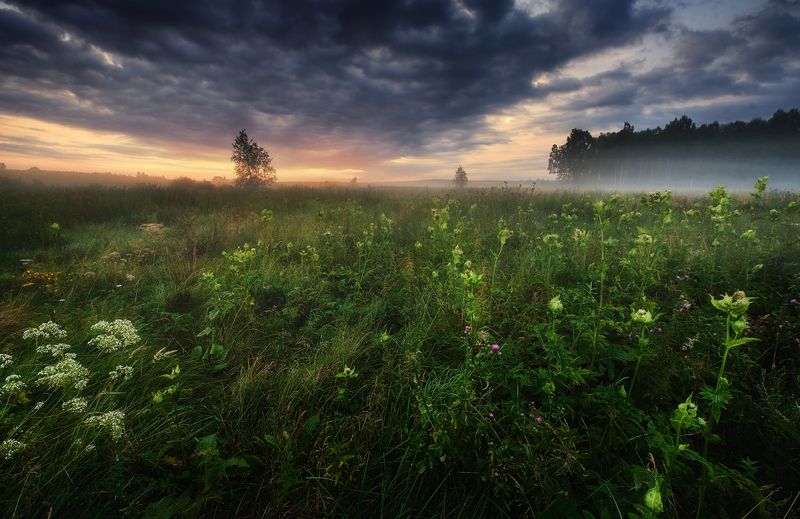 masuria mazury Symhpny of Lightphoto preview