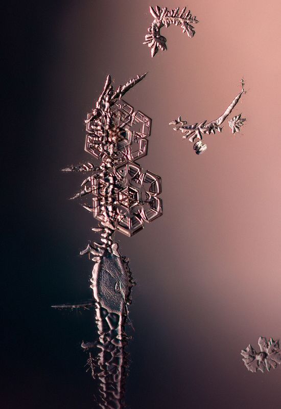 Снежные картинкиphoto preview