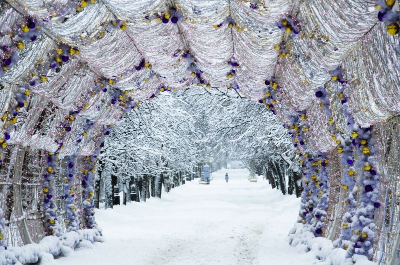 Москва, Тверской бульвар, зима, Новый год На Тверском бульвареphoto preview