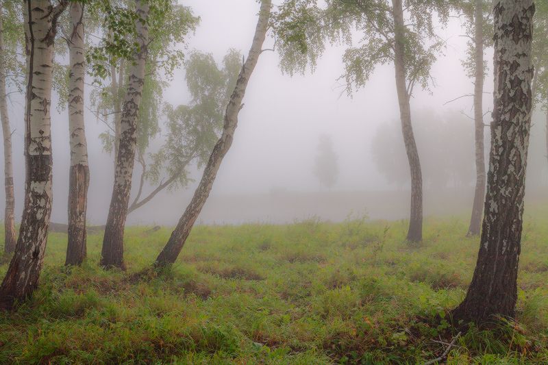 Продолжение августаphoto preview