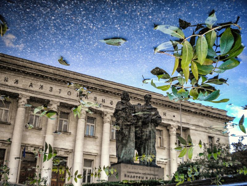 Листопадphoto preview