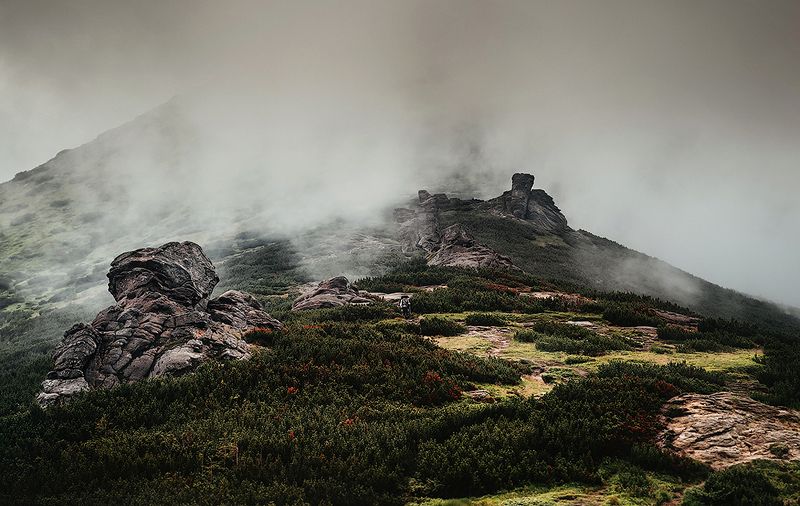 карпаты, смотрич, ушастый камень, поп иван Первый подъемphoto preview