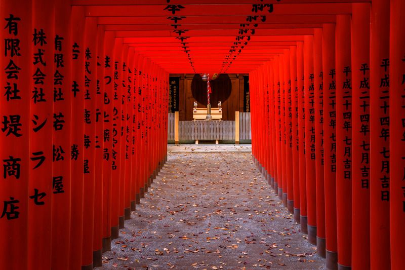 Road to Shintophoto preview