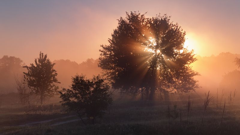 . . . фото превью