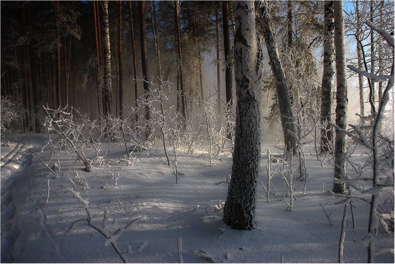 Про оттенки серого...photo preview