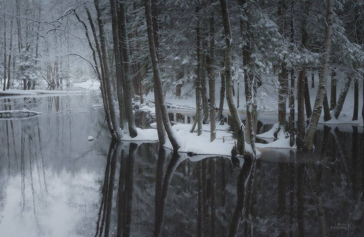 река, юля-йоки, юляйоки, ильичёво, ленинградская область, отражения, зима, снегопад, деревья, монохром, Степаненко Ольга
