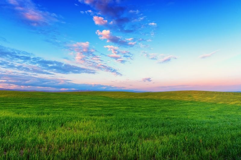 Весенние поля Киргизииphoto preview