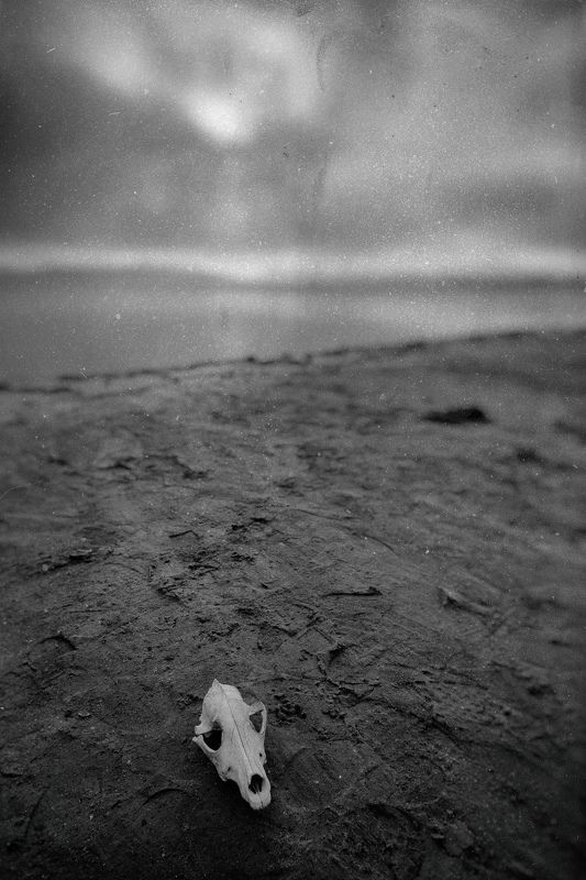 The memory of youphoto preview