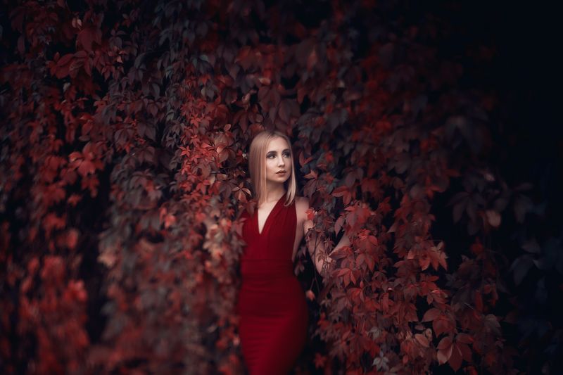 portrait, freelensing, autumn, model beauty nature Juliaphoto preview