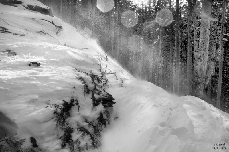 Blizzardphoto preview